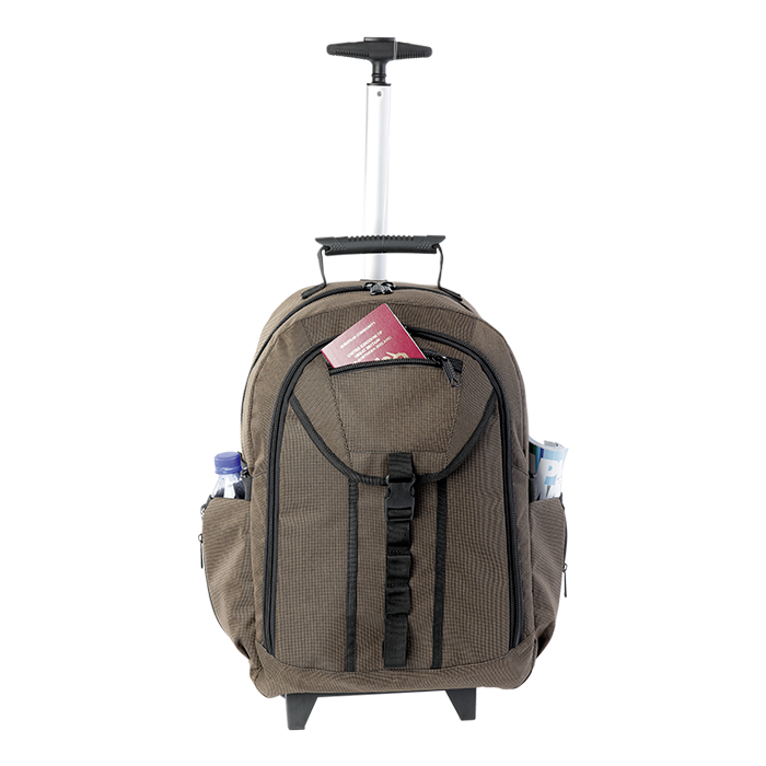 Checked Executive Rolling Backpack