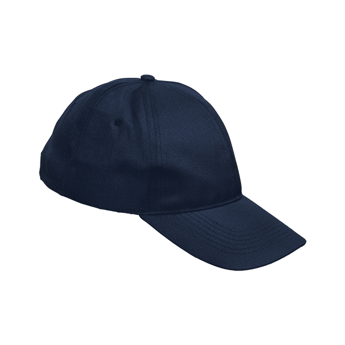 6 Panel Boost Cap Navy / STD / Regular - Caps