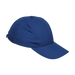 6 Panel Boost Cap Royal / STD / Regular - Caps