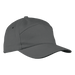6 Panel Carbon Cap Grey / STD / Regular - Caps