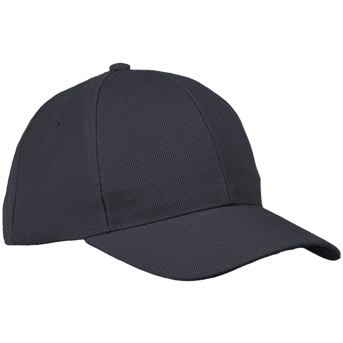 6 Panel Raven Cap - Caps
