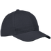 6 Panel Raven Cap - Caps