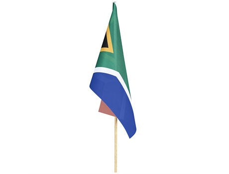 Champion Small Hand Flag 30cm x 20cm-
