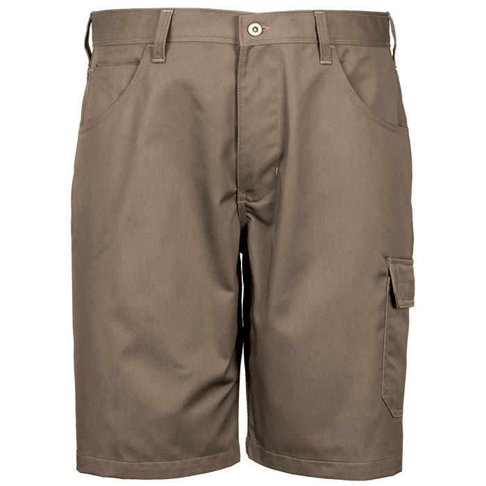 Rogue Cargo Shorts Khaki / 28 / Regular - Bottoms