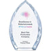 Trident Award TRANSPARENT - Awards and Medals,Awards Medals,Ideas for Work
