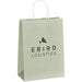Vogue Midi Paper Gift Bag LIGHT GREEN - Bags,Paper Products,Bags,Fashion Colour Ideas,Bags,Bags