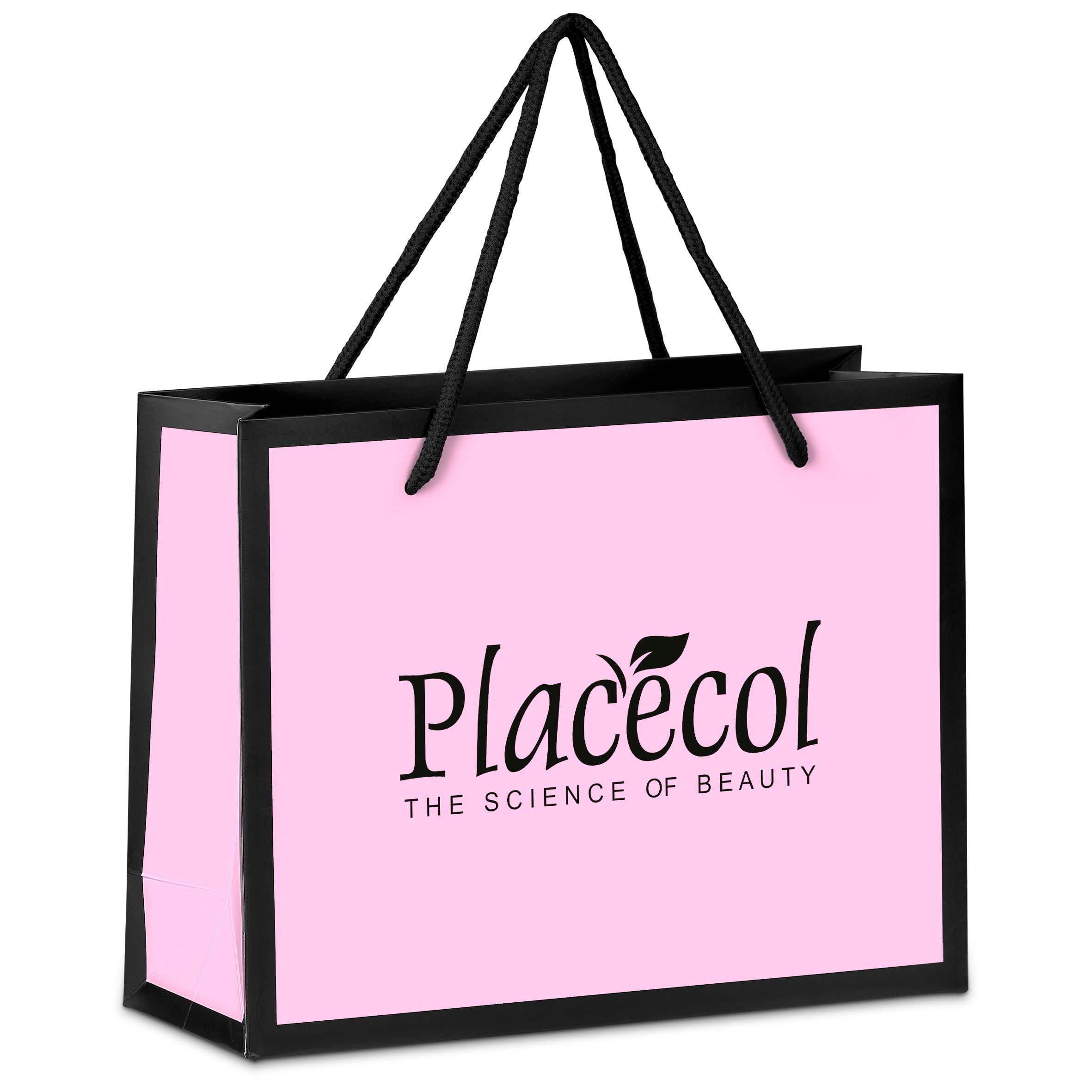 Regis Premium Mini Paper Gift Bag Pink / PI